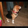 20080125_192
